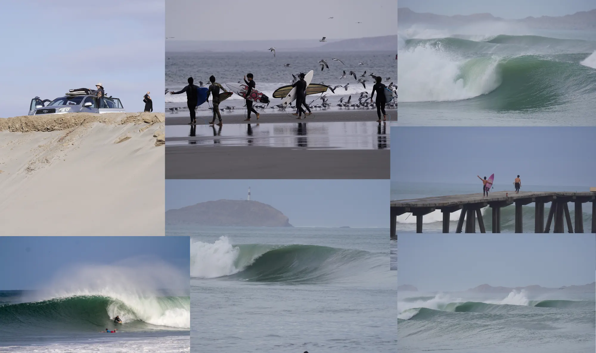 Surf Trips